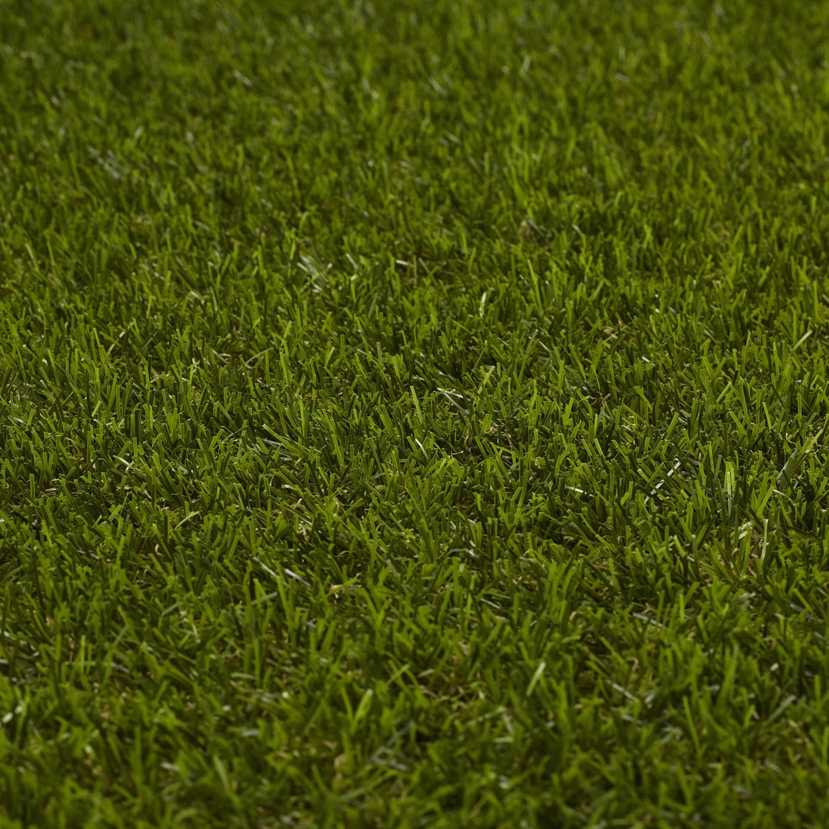 Luxury Artificial Grass 3 Metre Roll 4 Luxury Artificial Grass 3 Metre Roll - Image 2