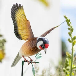 Vida Inquisitive Goldfinch Stake