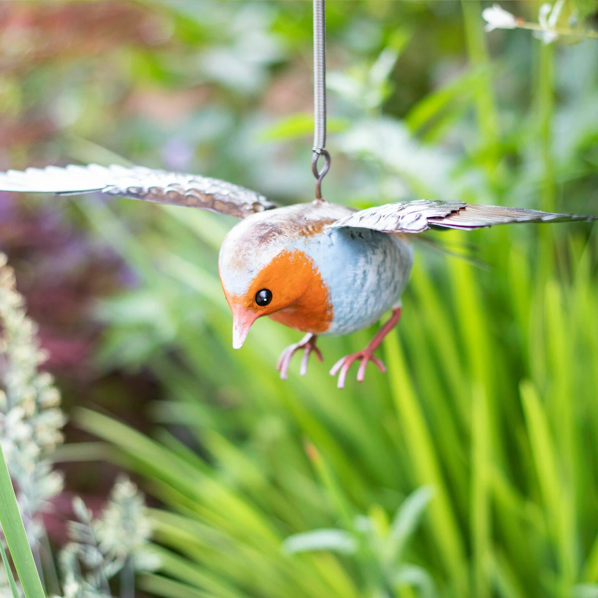 Vida Robin In Flight 4 Vida Robin In Flight - Image 2