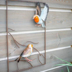 Vida Tree Top Robins