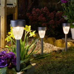 Solar Cygnus Warm White 4 Pack 5L