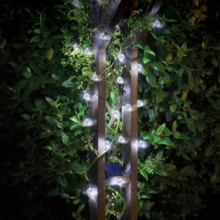 Solar 50 Super Bright Orbs 15L