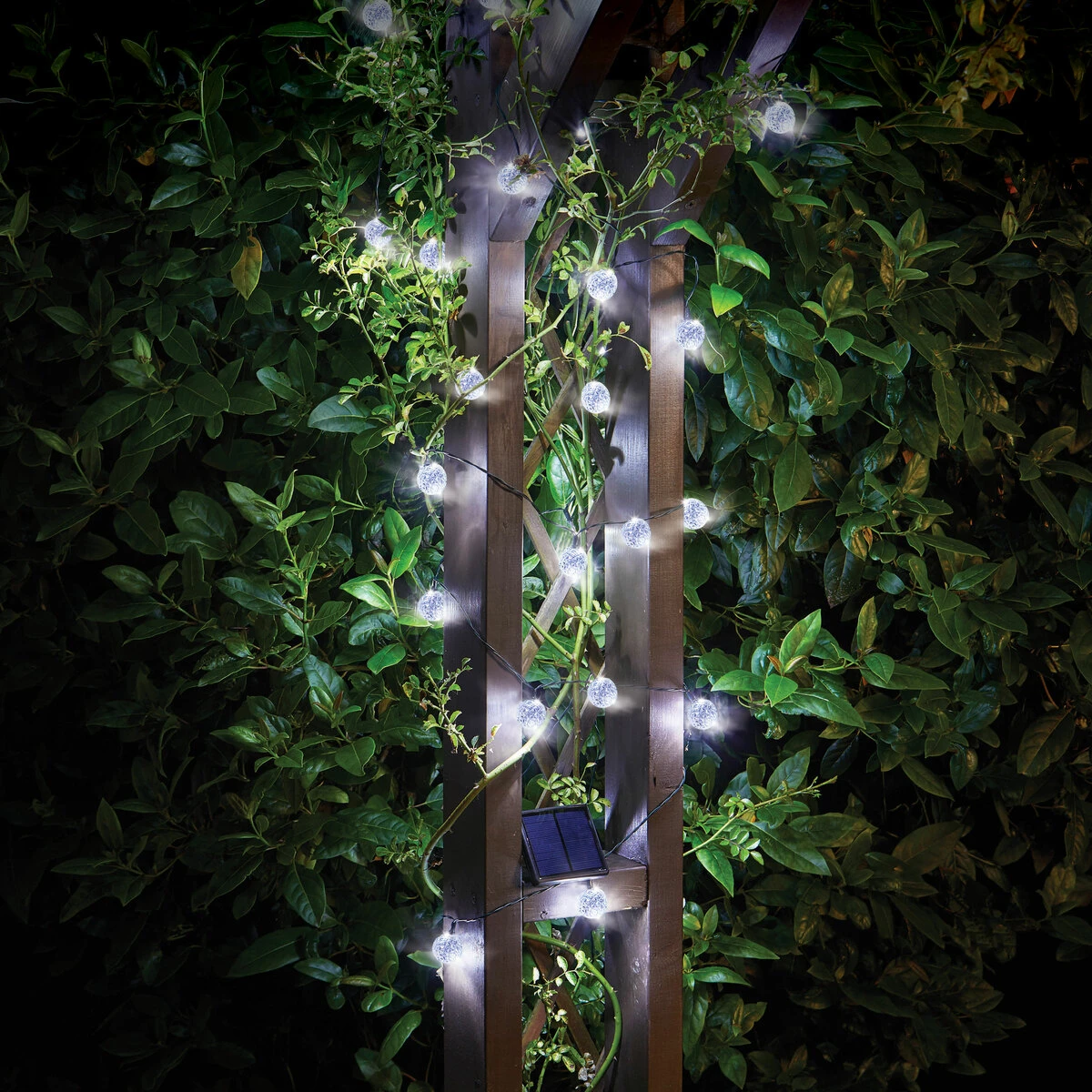 Solar 50 Super Bright Orbs 15L 3 Solar 50 Super Bright Orbs 15L