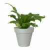Light Grey Capri Pot 30cm 1 Light Grey Capri Pot 30cm -Tirlan Farm Life Sales Shop 9124911 leftoffront 1200Wx1200H