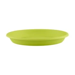 Cilindro Green Saucers