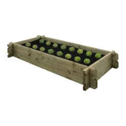 Vegetable Box