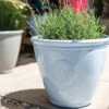 Eden Emblem Planter Blue -Tirlan Farm Life Sales Shop b9117714 frontface 1200Wx1200H