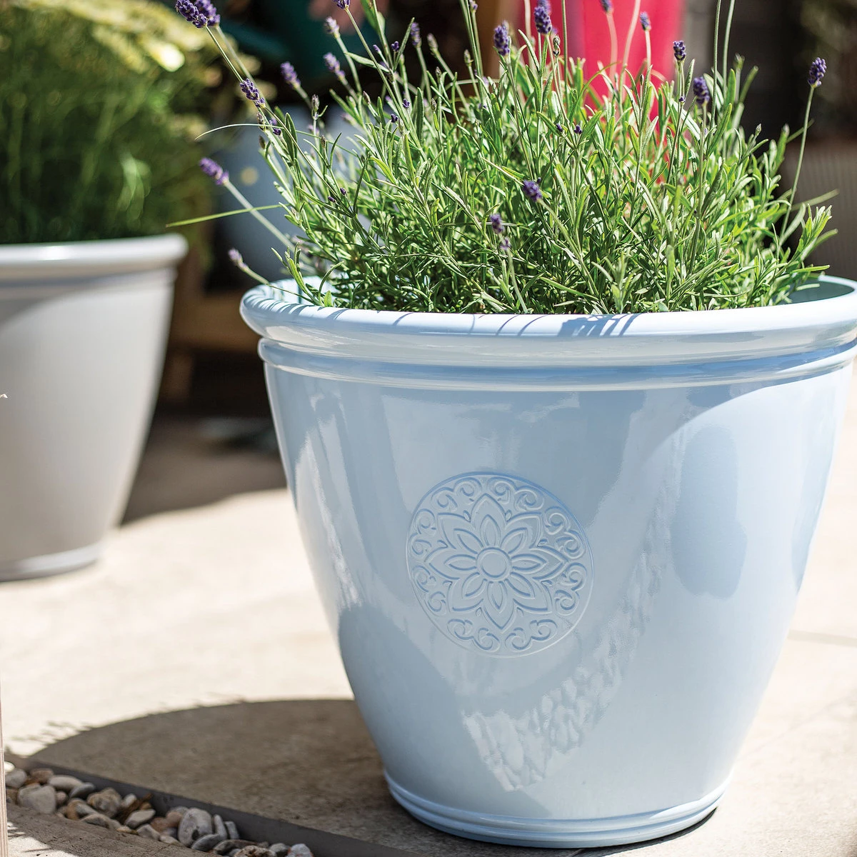 Eden Emblem Planter Blue 3 Eden Emblem Planter Blue