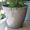 Eden Emblem Planter Grey