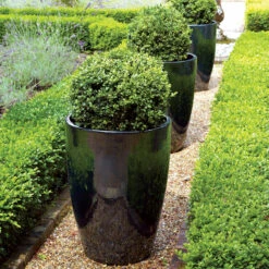 Mirror Tall Egg Pot -Tirlan Farm Life Sales Shop b9123698 back 1200Wx1200H