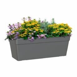 Madagascar Window Box Anthracite -Tirlan Farm Life Sales Shop b9124821 leftback 1200Wx1200H