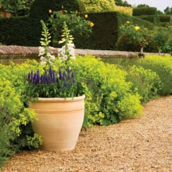 Planter Himalaya Traditional Terra -Tirlan Farm Life Sales Shop b9127730 frontface 1200Wx1200H